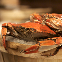 A crab
