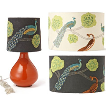 Anthropologie