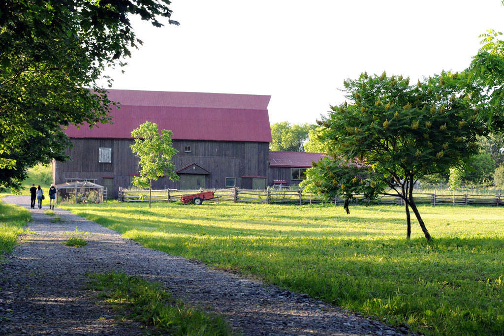 JK Farm Summer Dinner Series