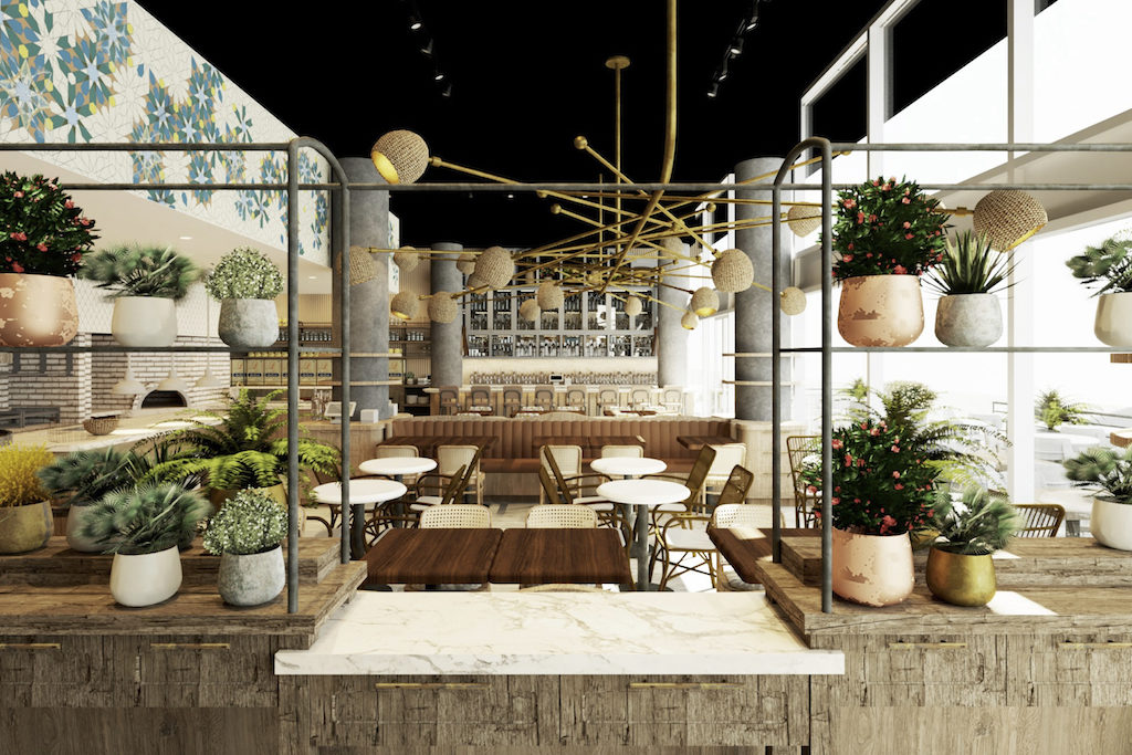 Shook Israeli Kitchen