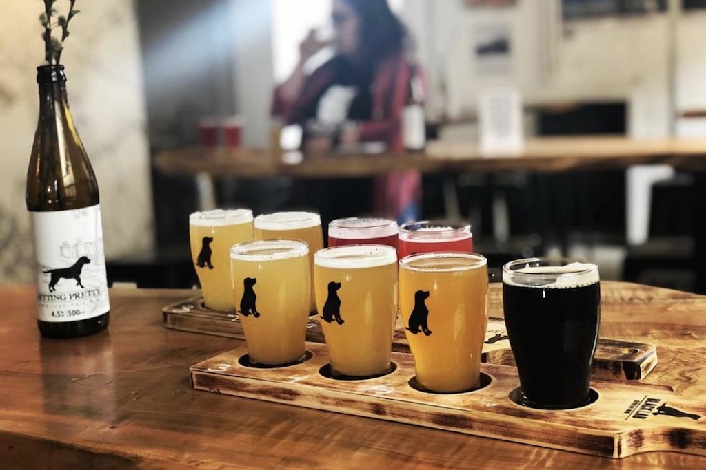 black lab brewing