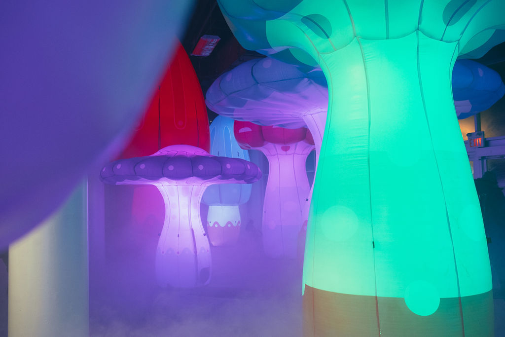 Toronto Light Festival