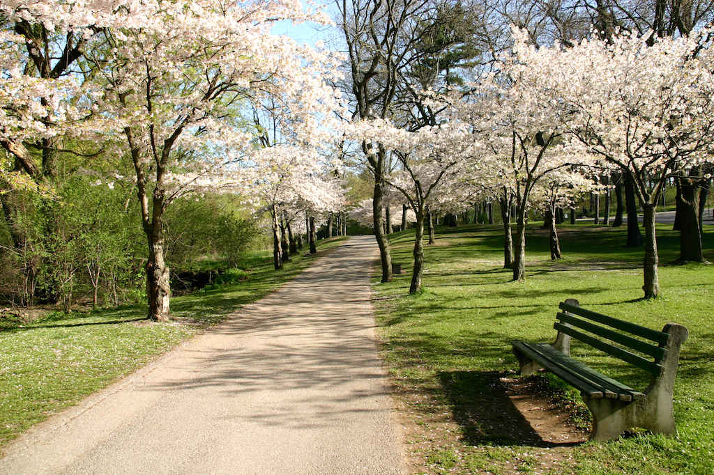 best Toronto parks