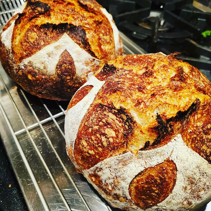 sourdough starters