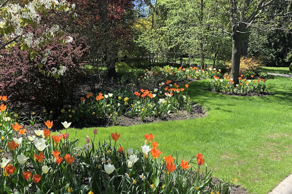 melissa skinner gardening