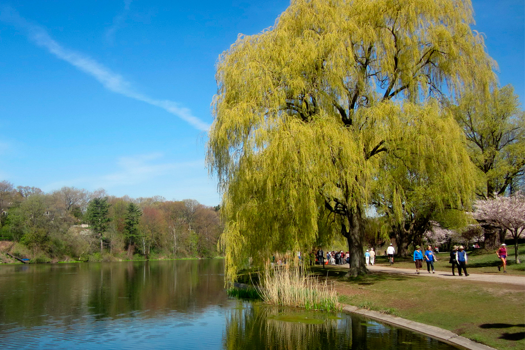 High Park has plenty of shade