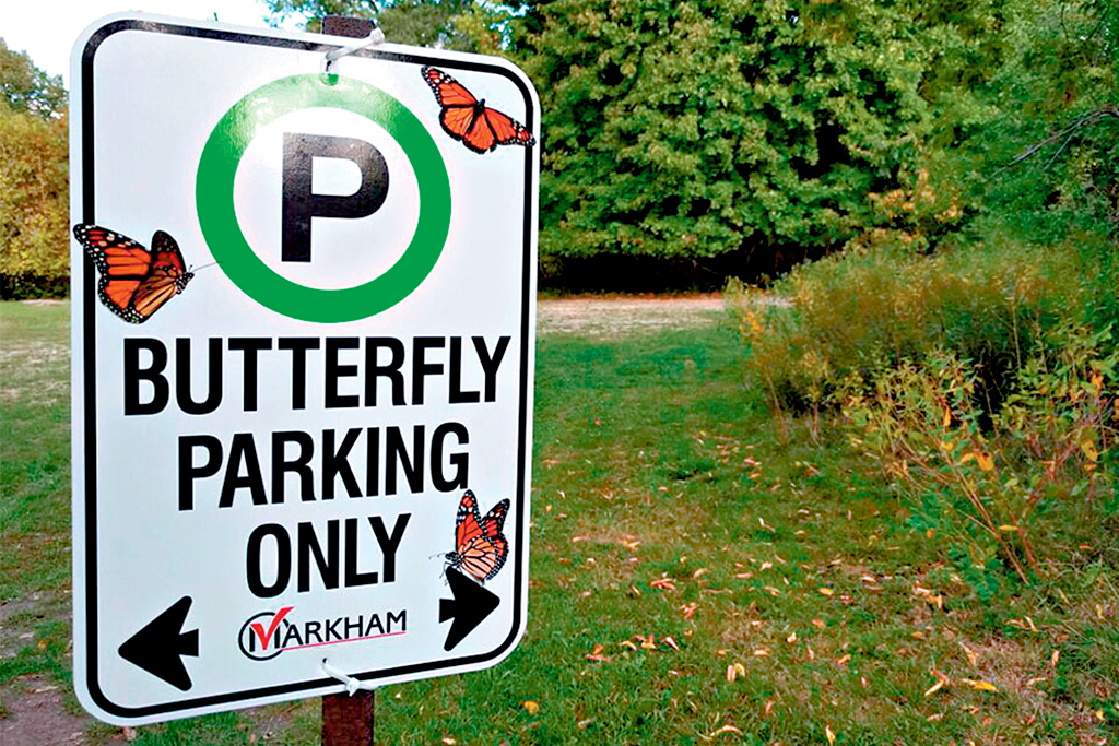 butterflyway