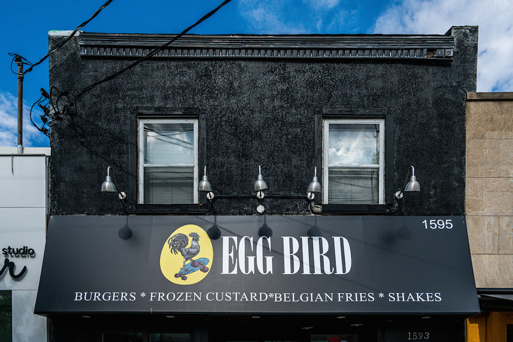 Egg Bird