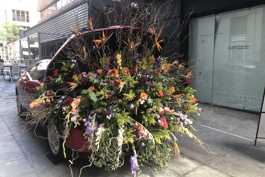 yorkville fleurs de villes