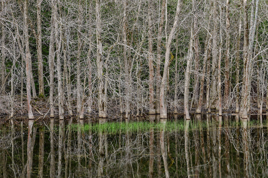 burtynsky