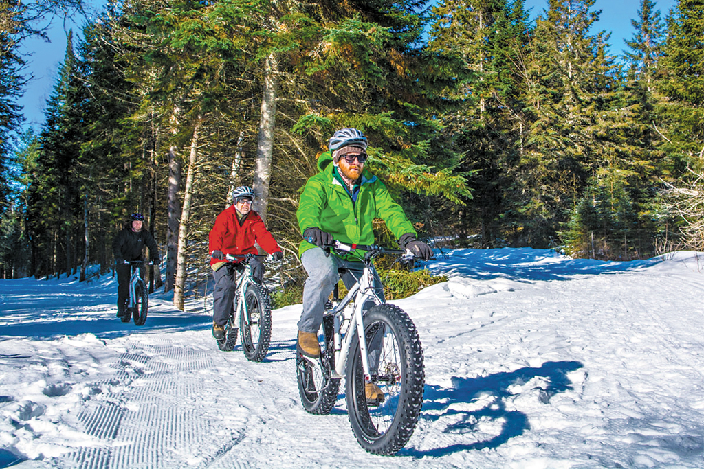 winter activities
