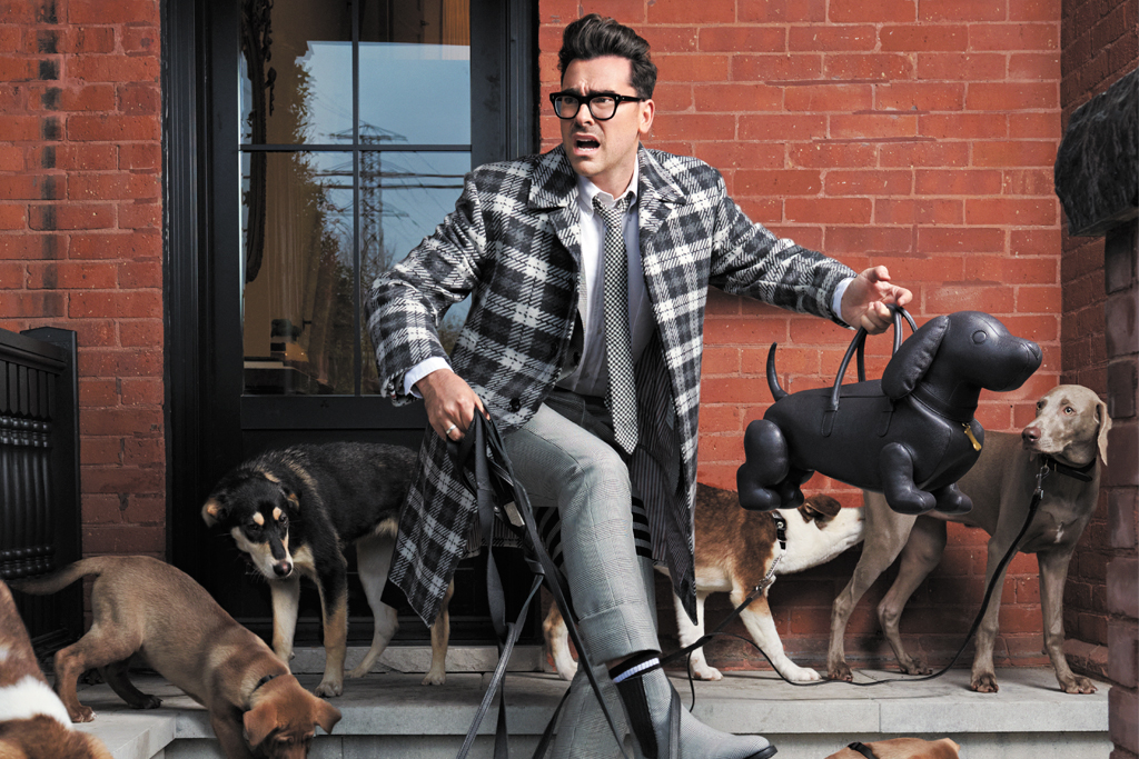 Dan Levy with dogs