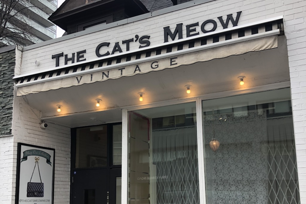 cat's meow