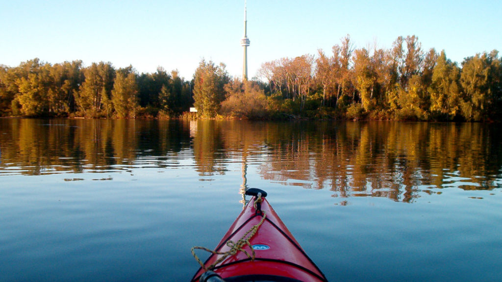 A photo of the Toronto skyline from a kayak.