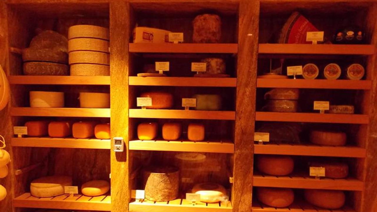 TOCA cheese cave