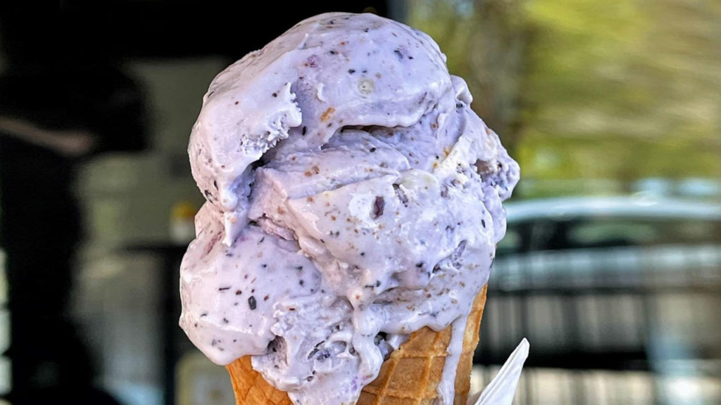 Ice Creamonology