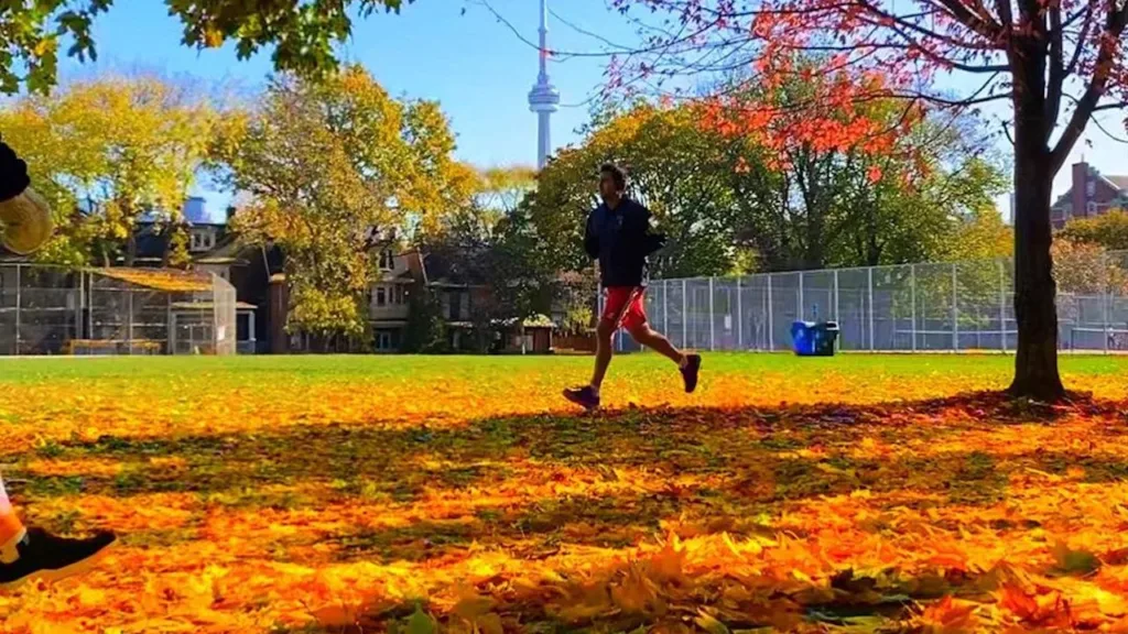 what's open Toronto Thanksgiving