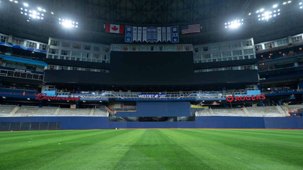 blue jays