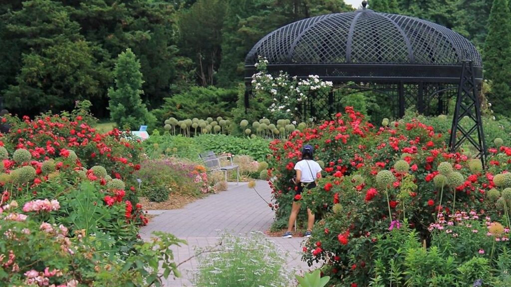 Free admission to Royal Botanical Gardens in Ontario this weekend