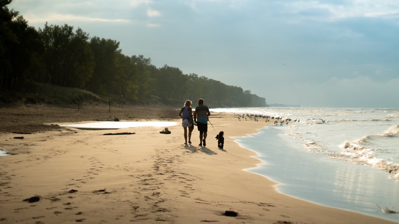 Norfolk County is home to Long Point Provincial Park