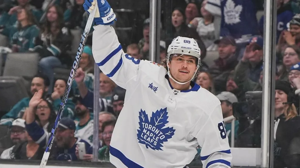 Maple Leafs star player William Nylander