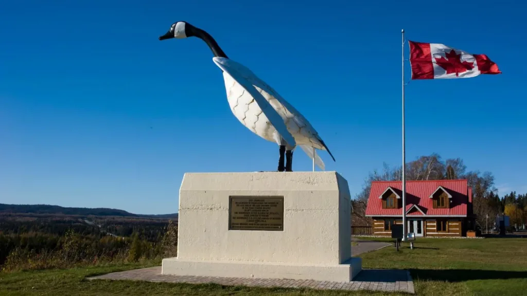 Wawa goose