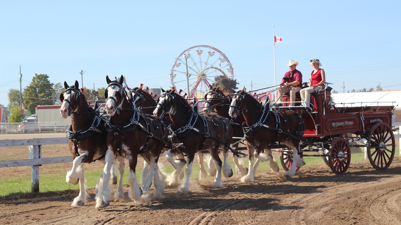 Markham Fair