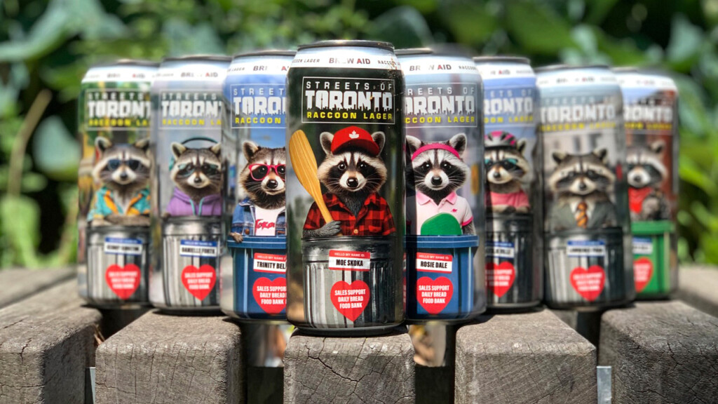 raccoon lager A 2025
