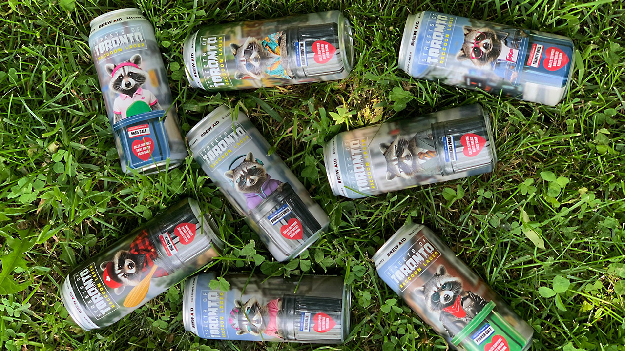raccoon lager D 2025