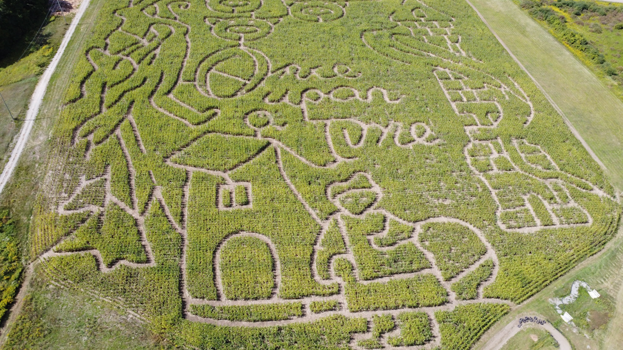 2025 corn maze orig