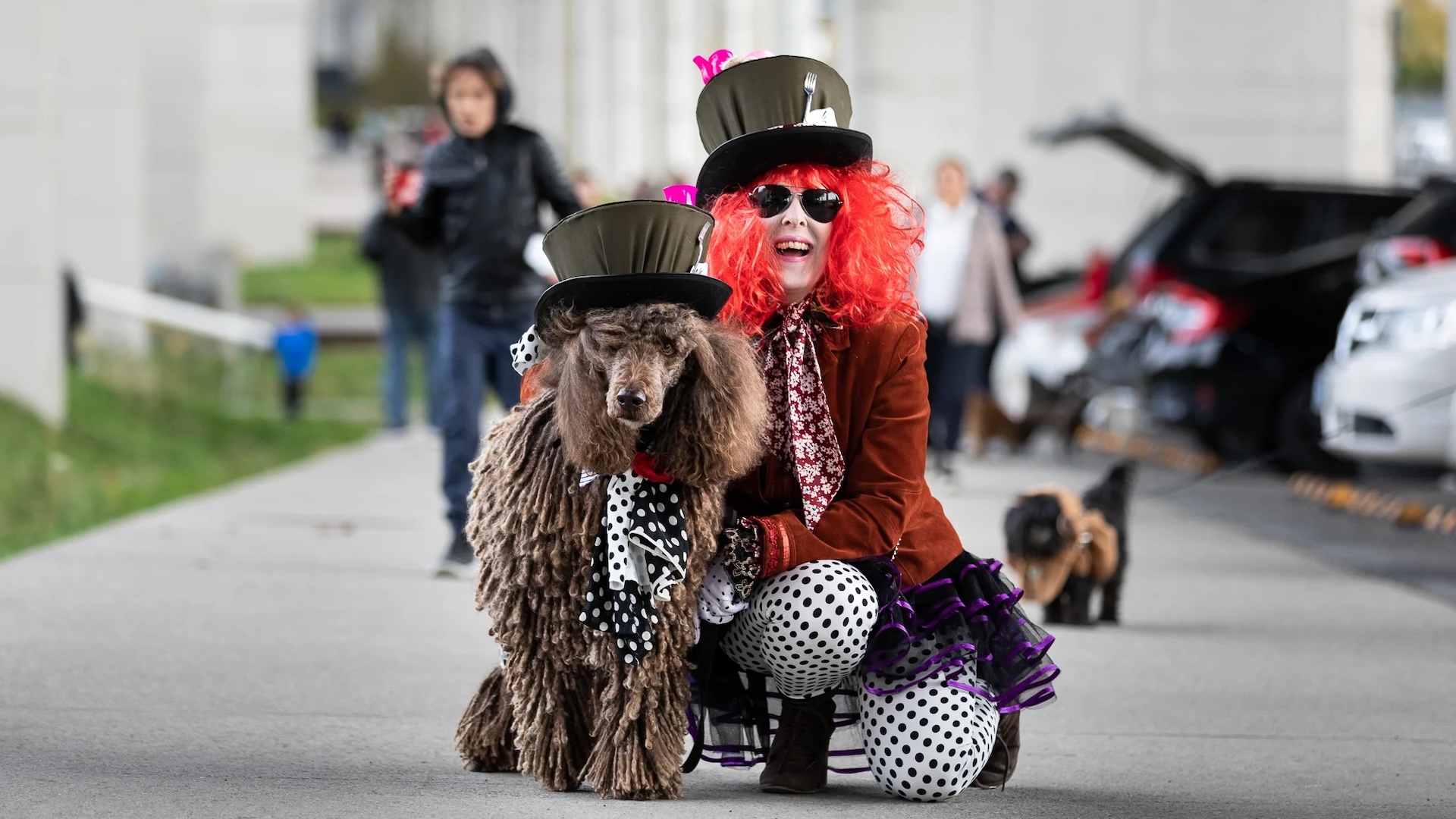 howloweenpup