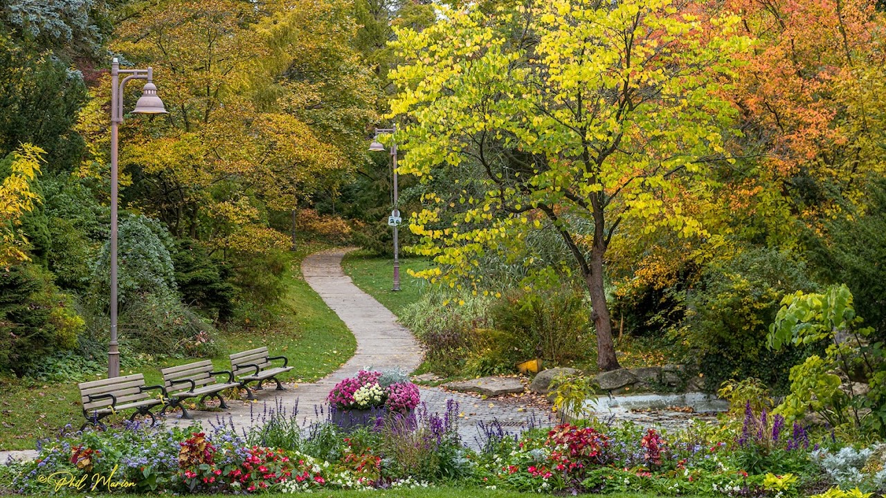 ivanforrestgardens