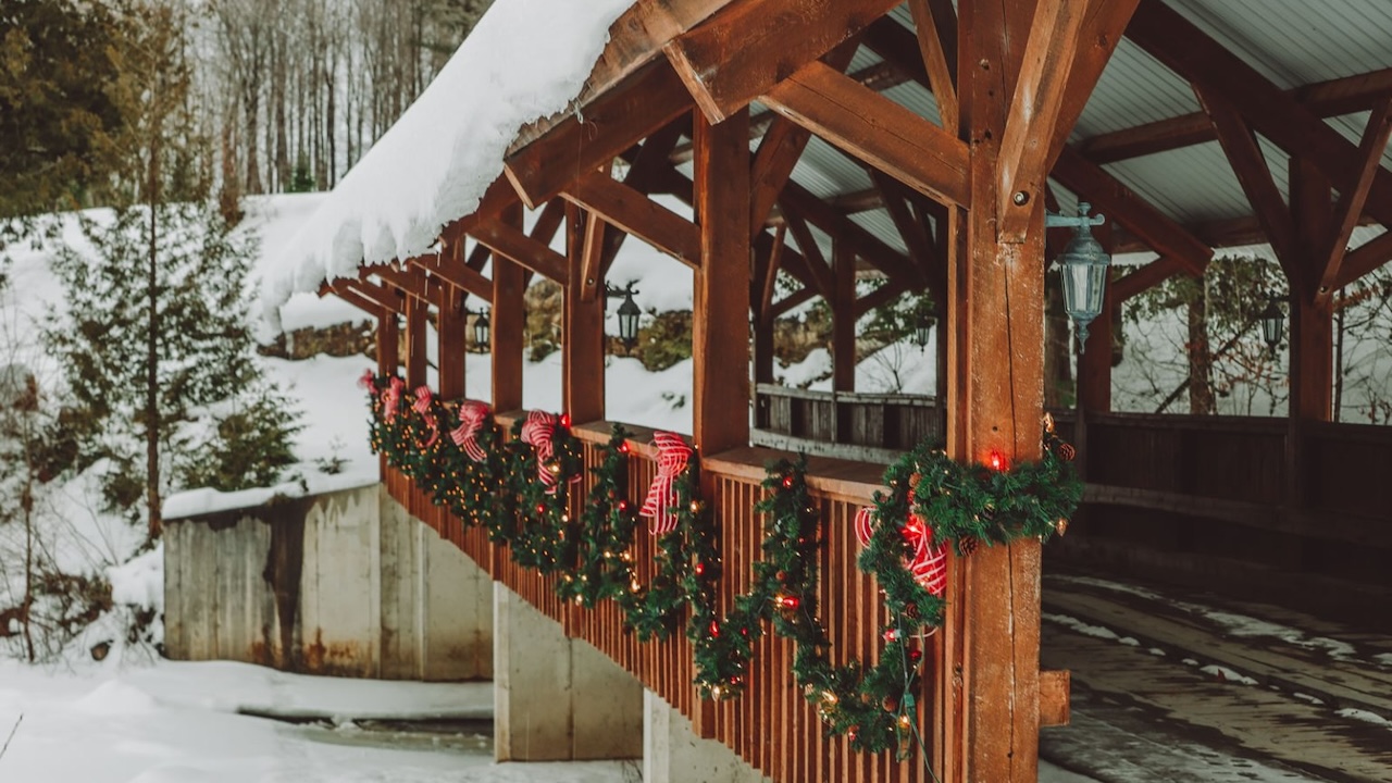 Cedar Hill Christmas Tree Farm