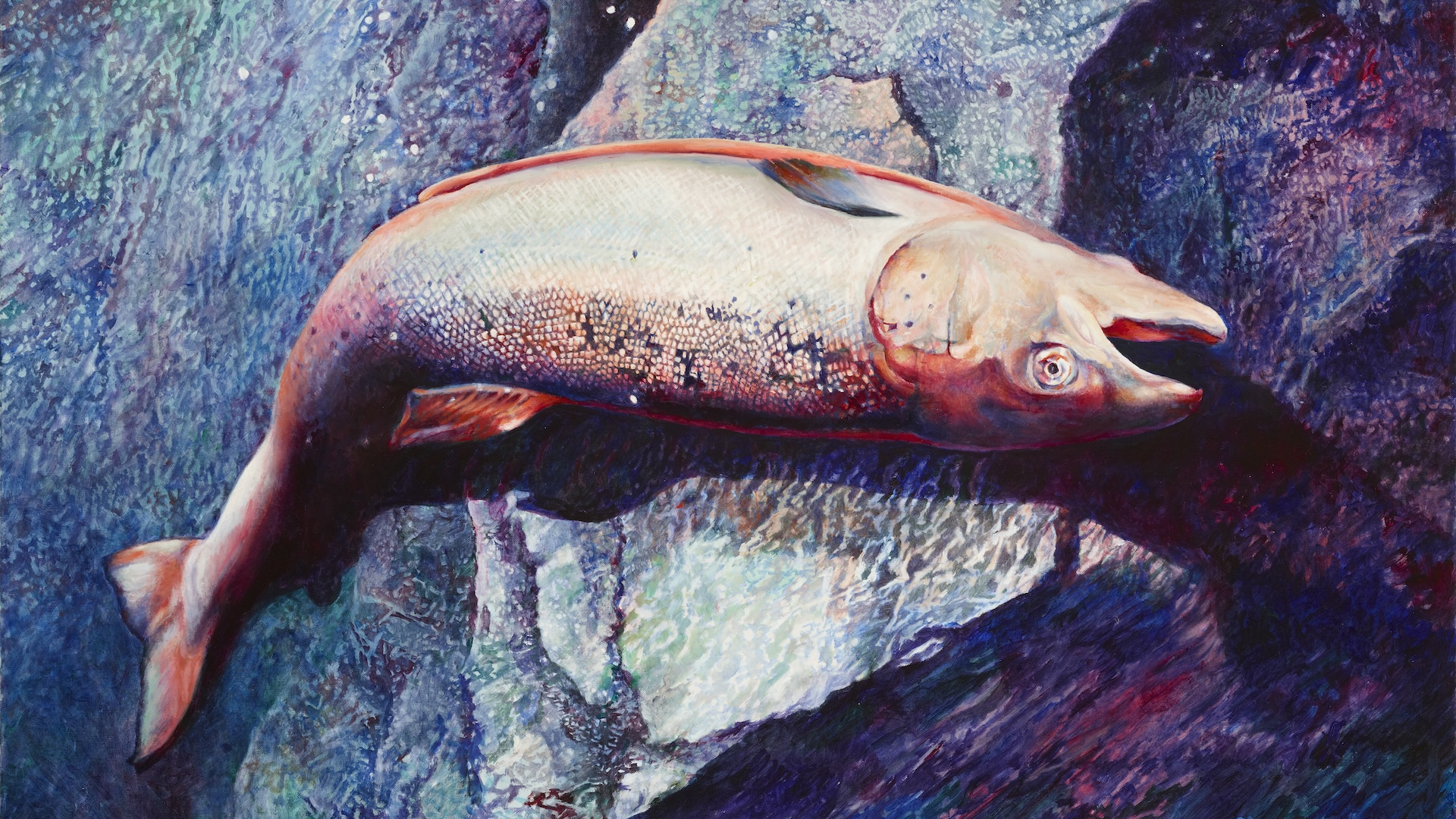 PRATT M Gutted Salmon Twisted on a Granite Shelf hi res