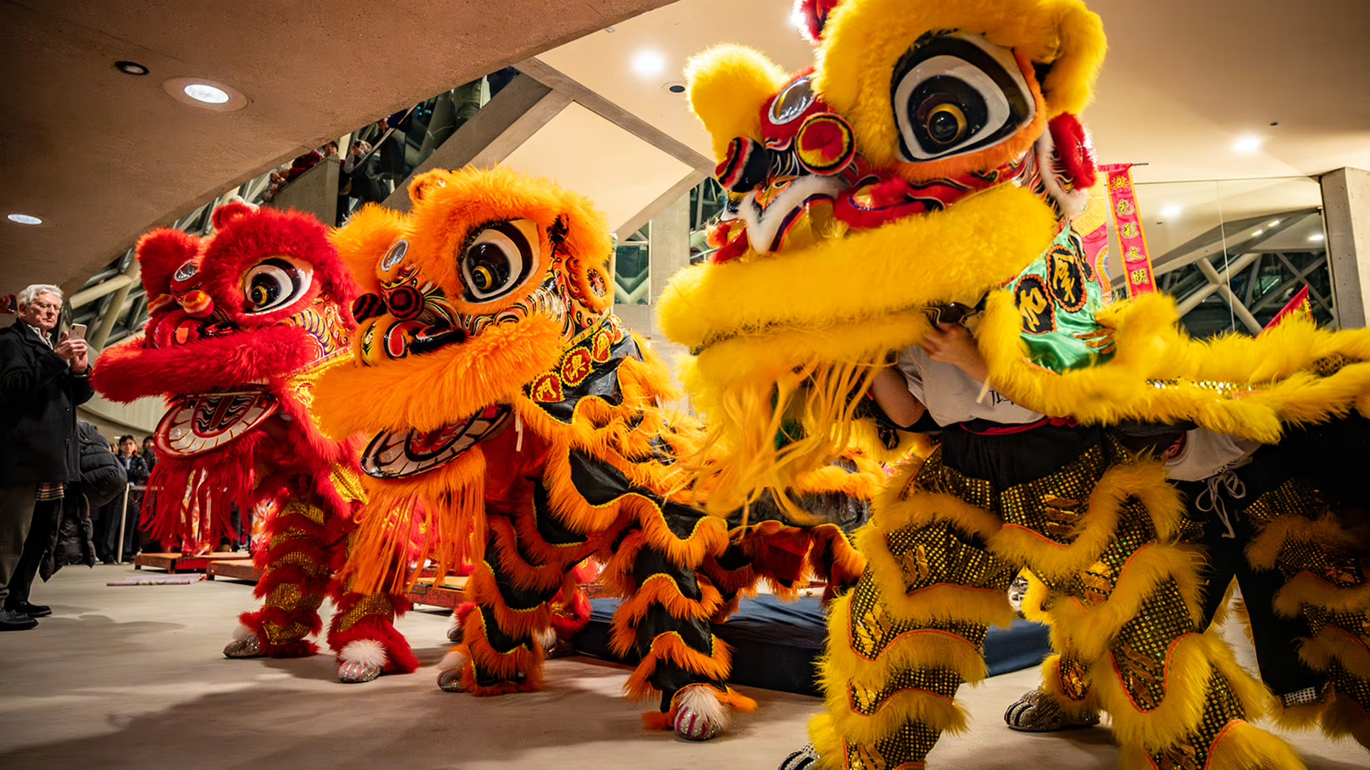 lunar new year tos