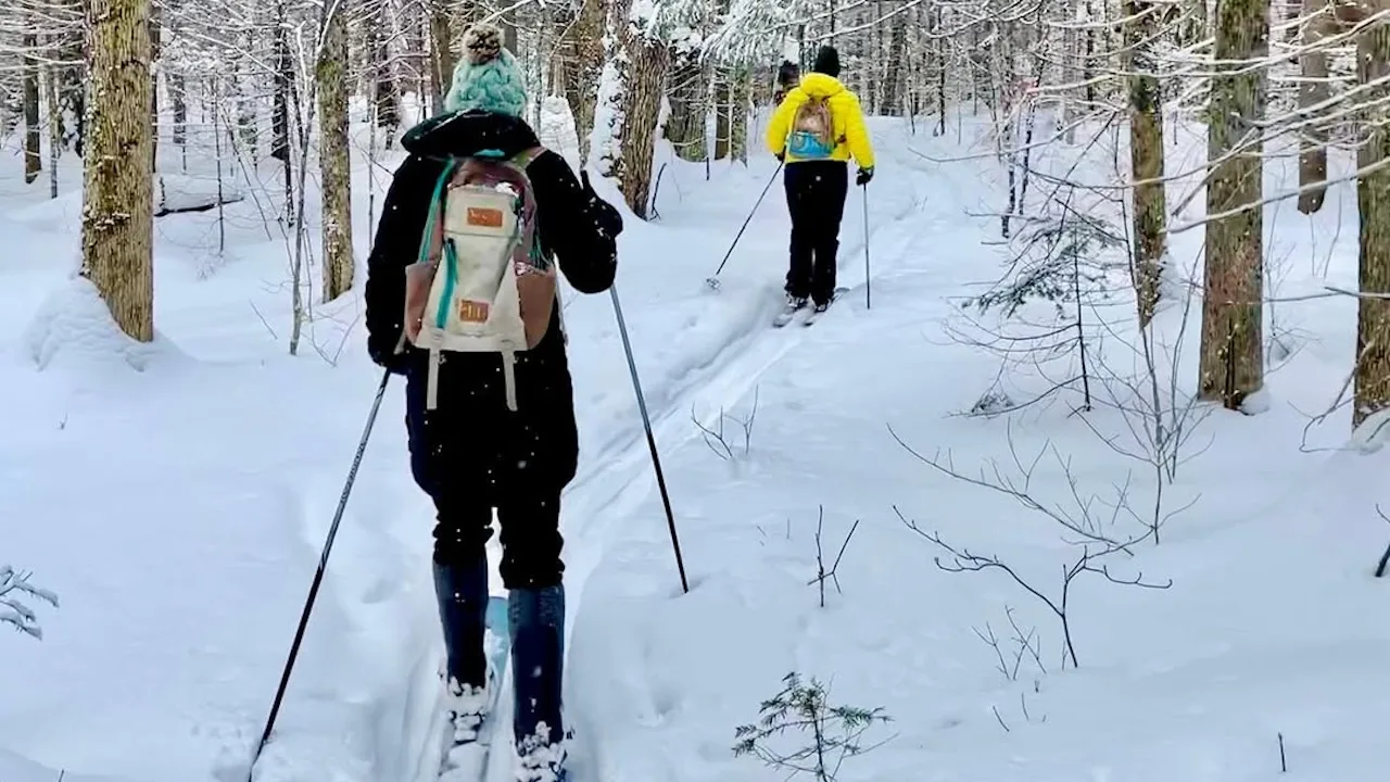 northernedgealgonquin