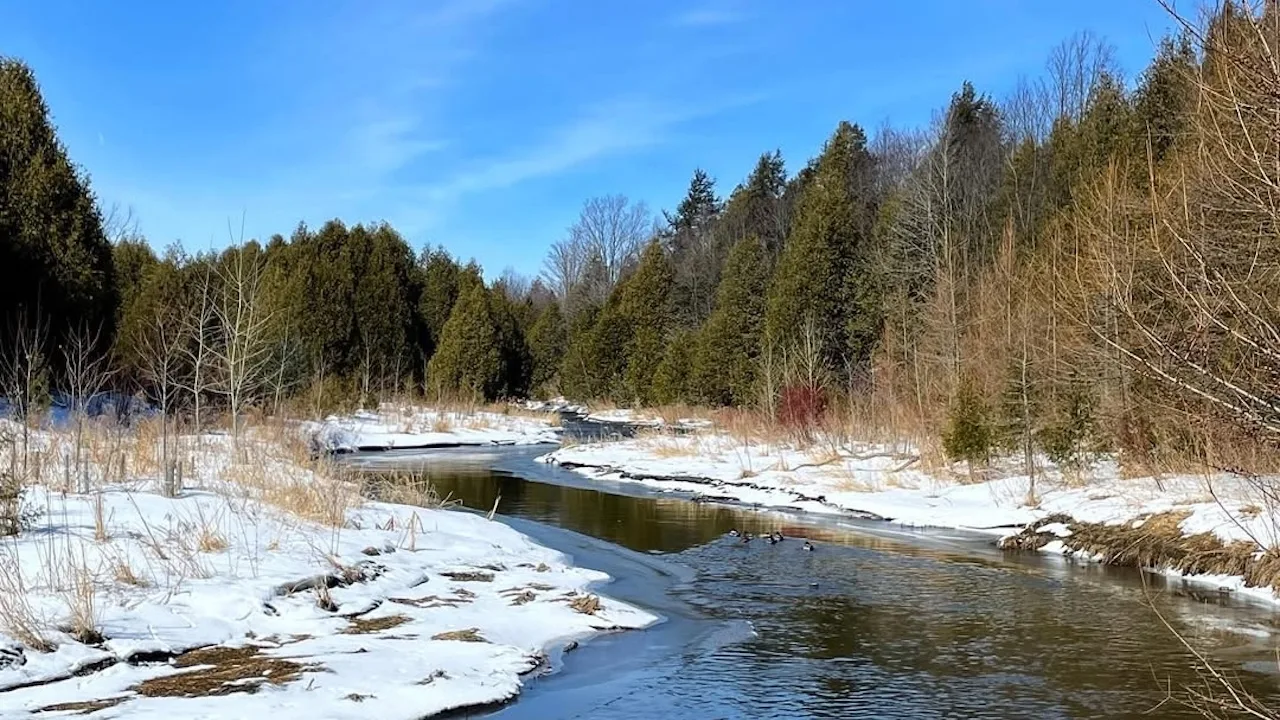 altonontario