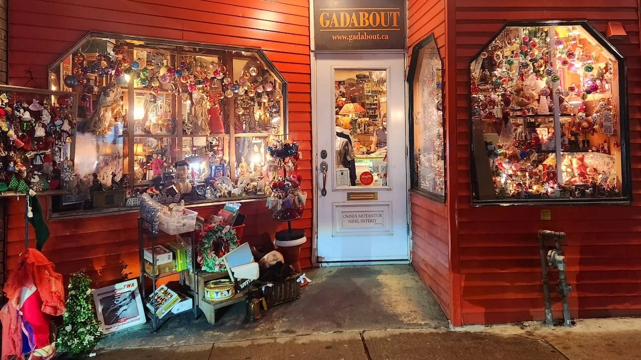 gadabout