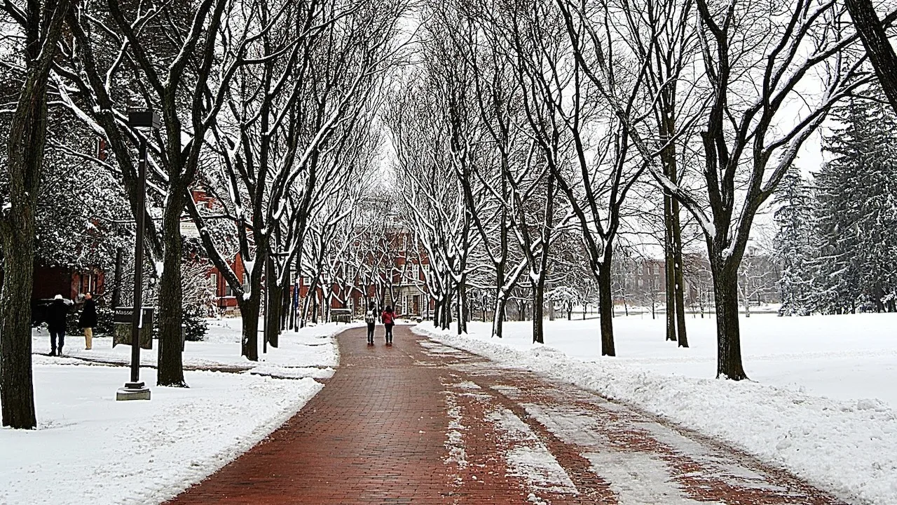 guelphwinter