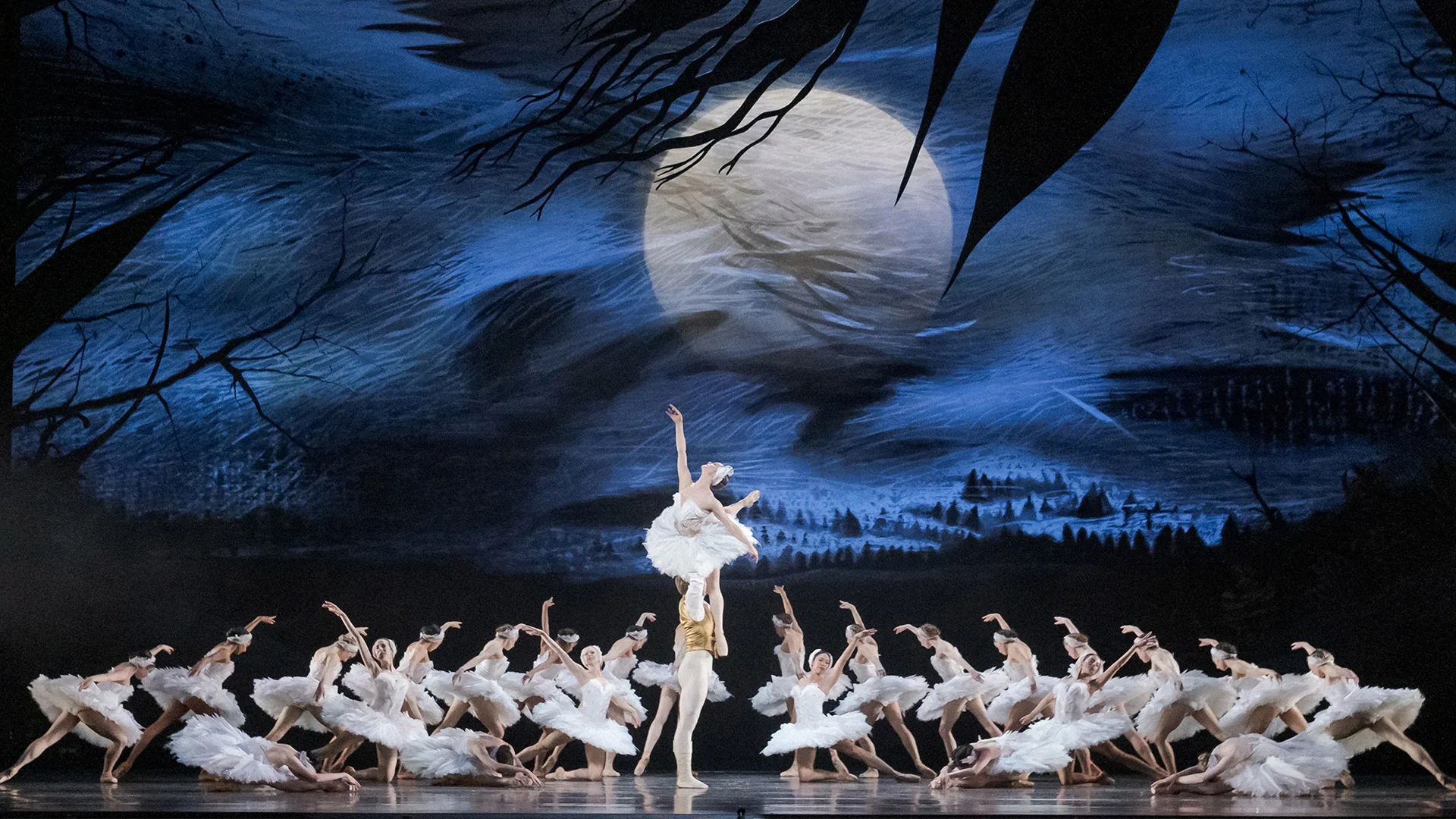 swanlake