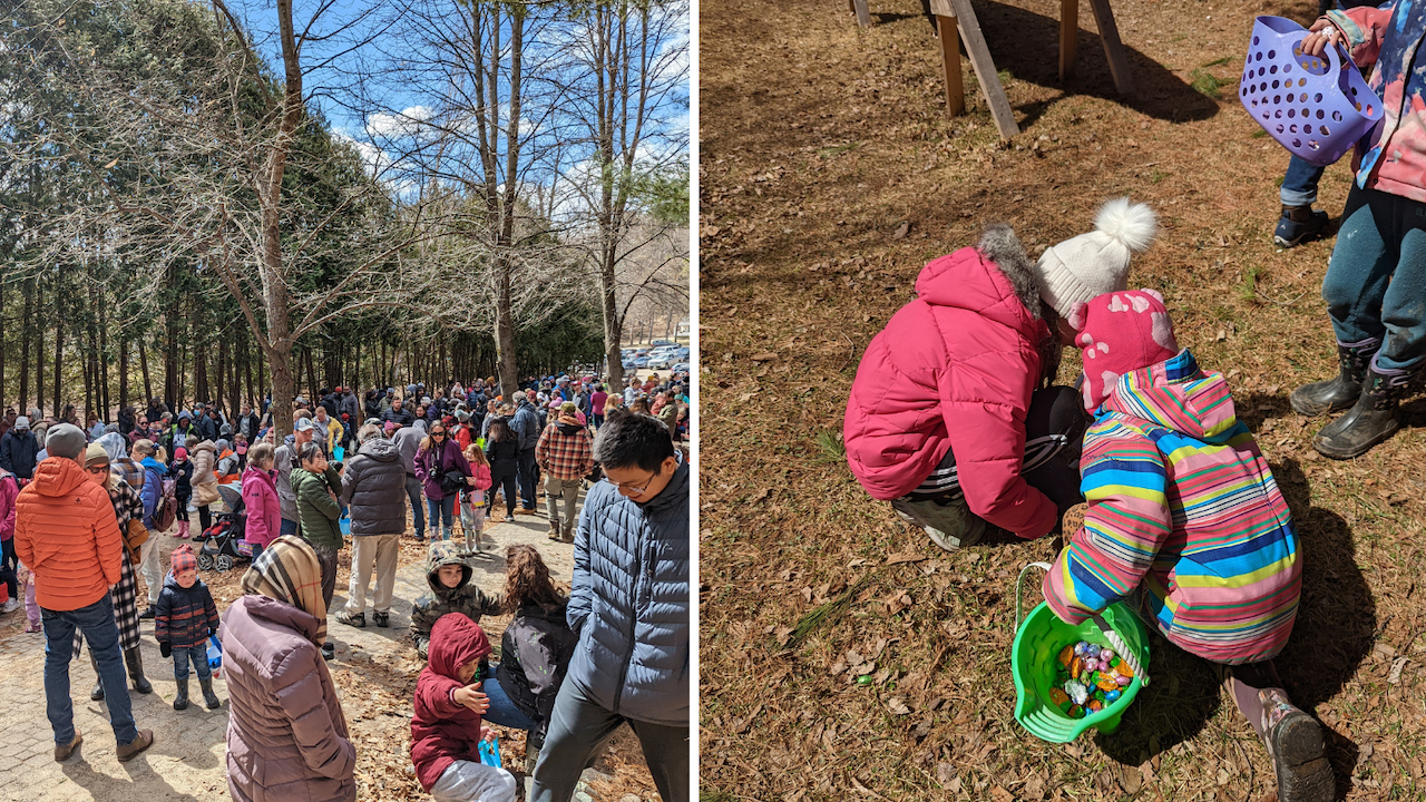 Easter Egg Hunt Photo