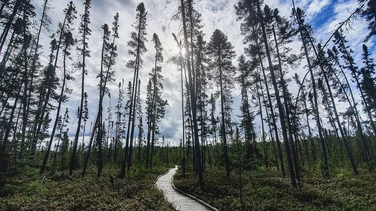bluelakeprovincialpark