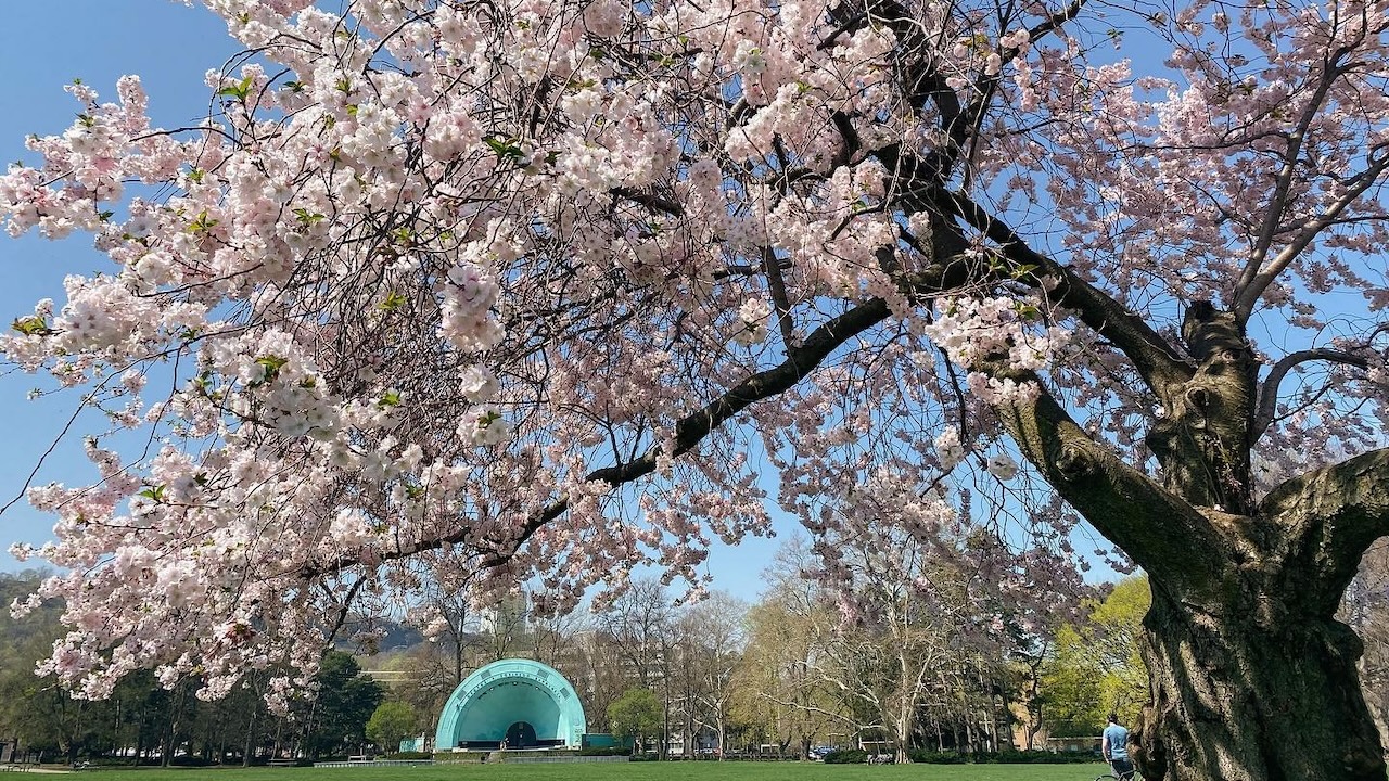 gagepark