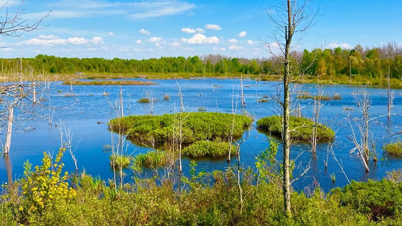 macgregorpointpark