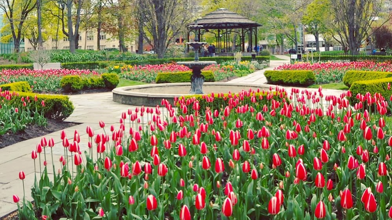 stjamespark