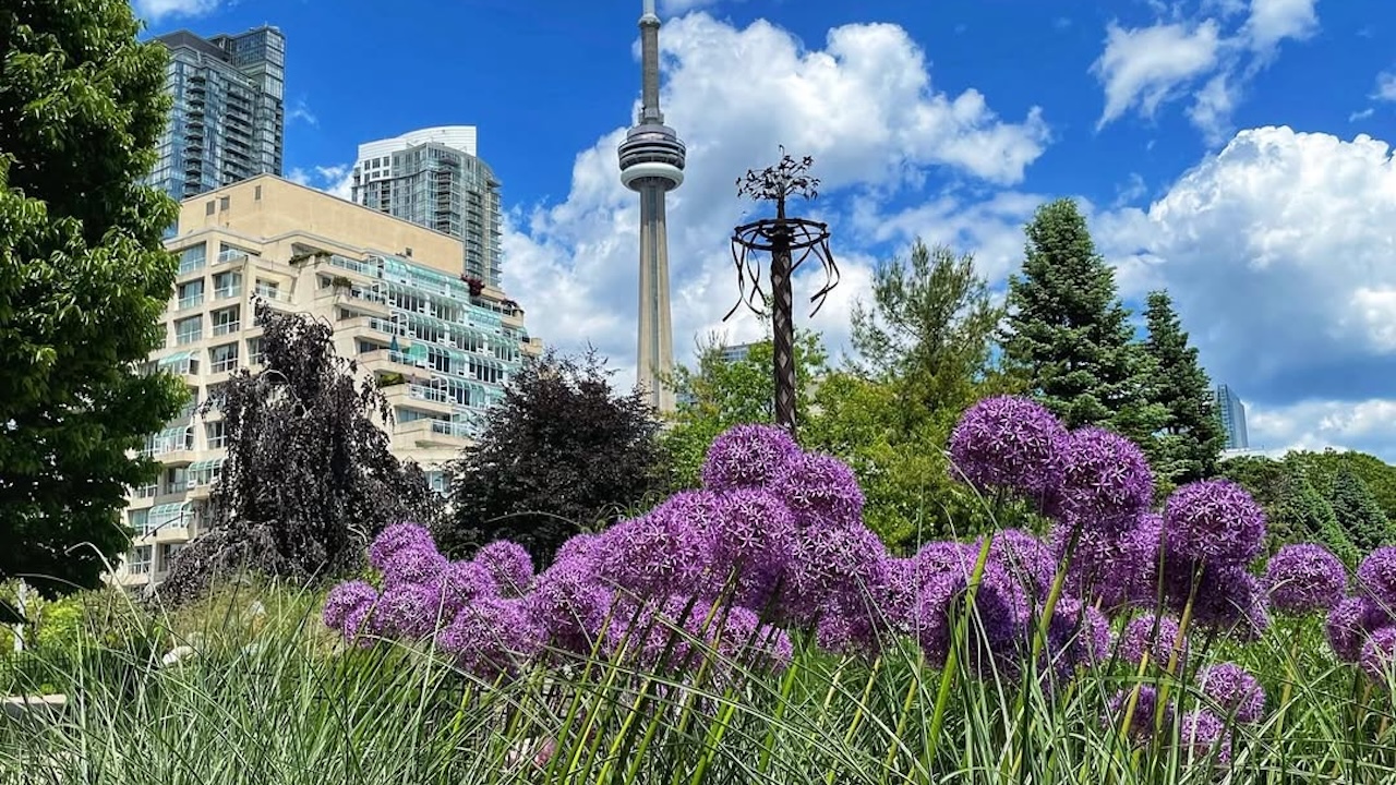 torontomusicgarden