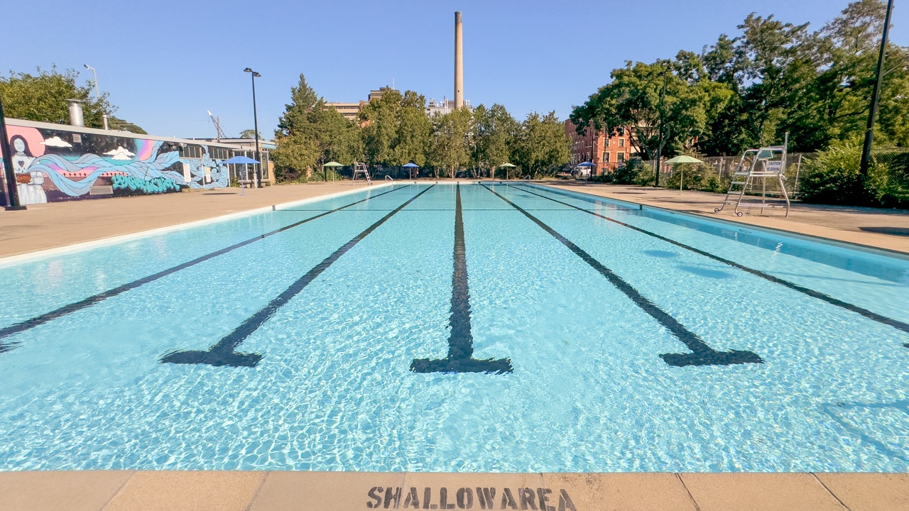 50 Metre Pool at Alexandra Park