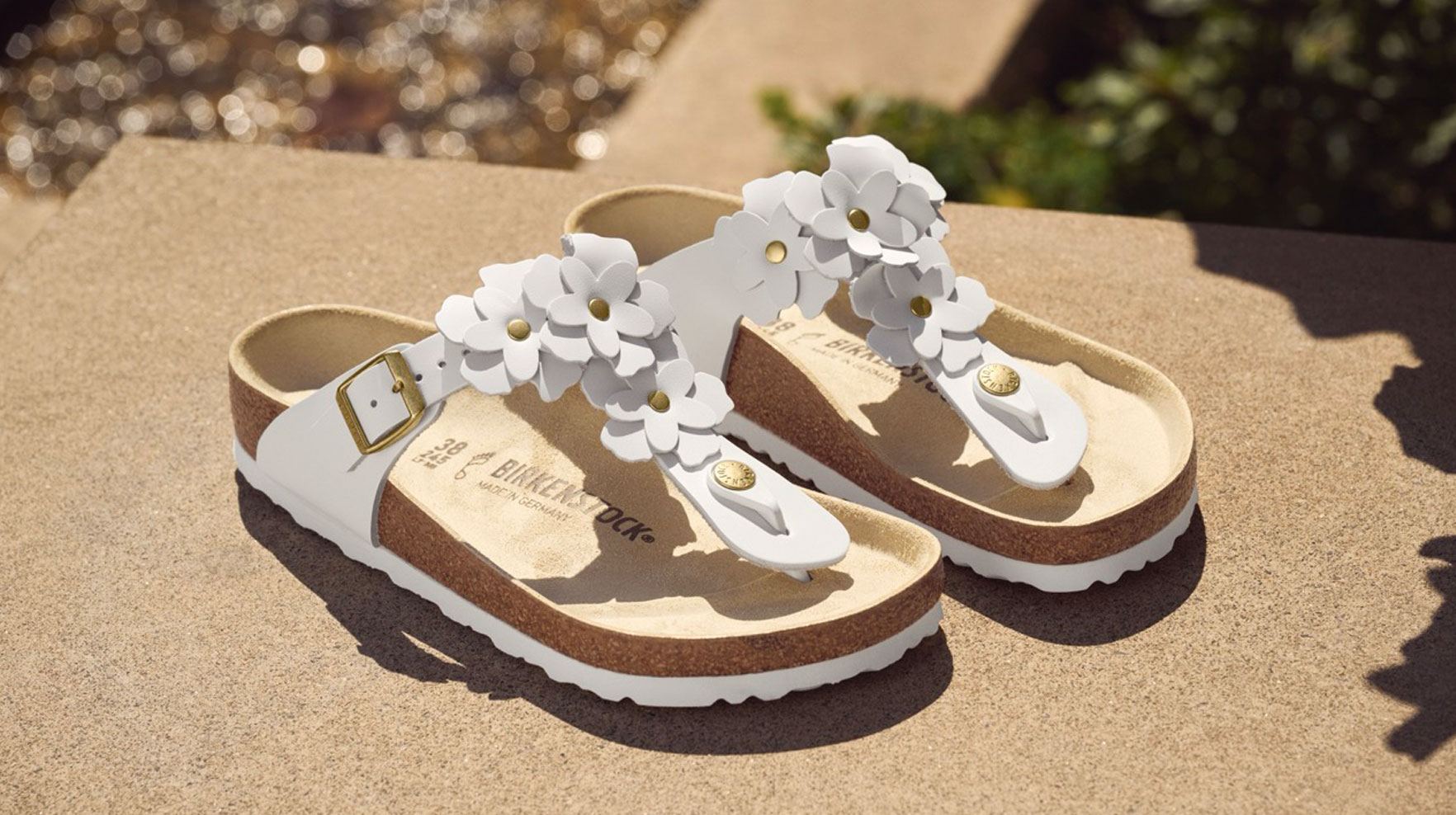 circle shoes