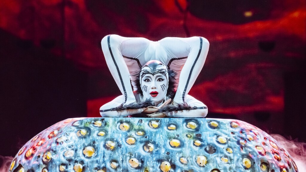 Cirque du Soleil contortionist