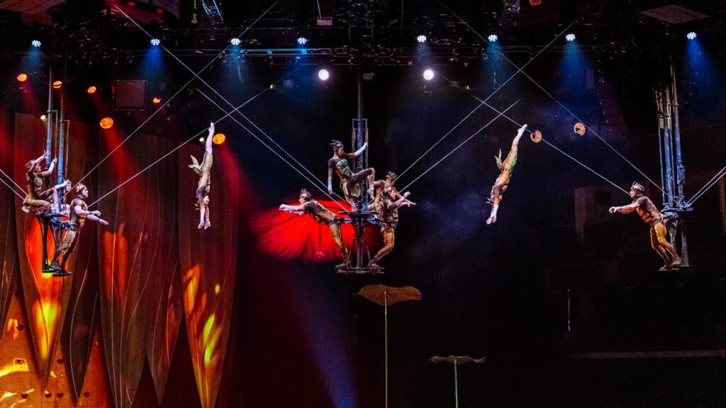 Aerial acrobats at Cirque du Solei's OVO
